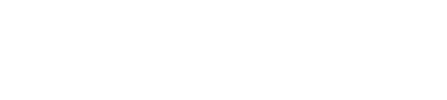 PADEL RECORD PRO LOGO